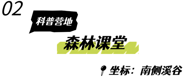 新晋网红公园来了！出片率超高！