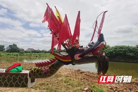 攸县：400年老龙头下水 龙舟文化经久弥新图片