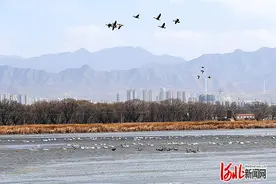 河北张家口：让“绿色家底”越来越厚实图片