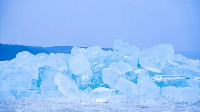 今日立冬|总有一个冬天 要来趟净月潭