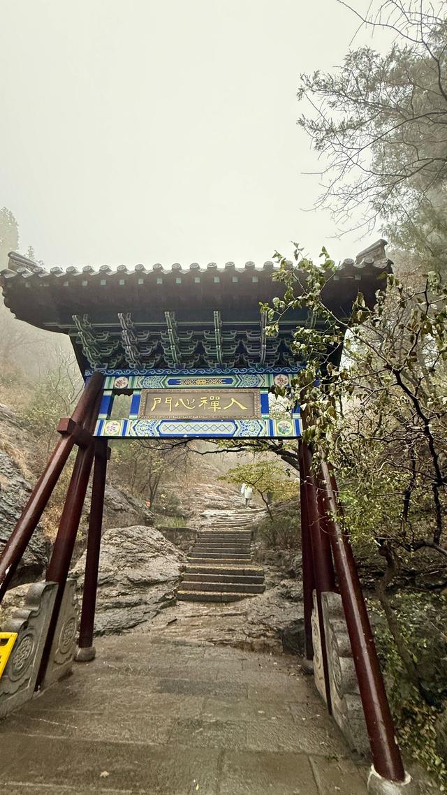 新视界｜济南佛慧山：初冬木叶黄 山高雾沾衣