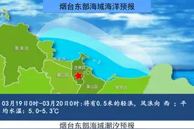 早安 烟台|引发山火！烟台一人被行拘图片