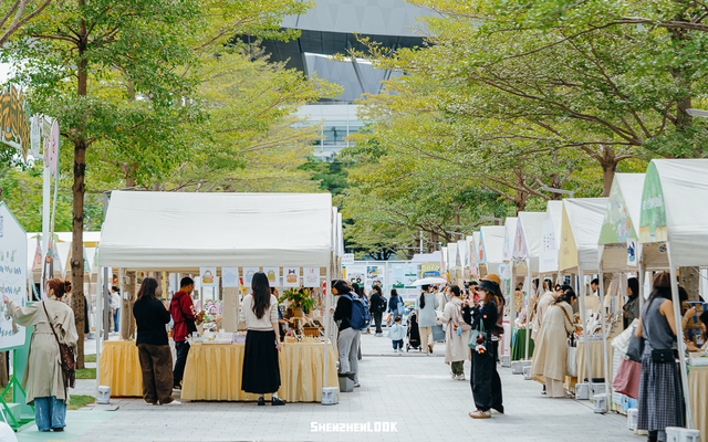 深圳湾的夜景再次升级 · 周末游玩指南