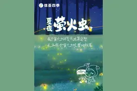 自然放轻松，这些徒步欣赏萤火虫的地方别错过图片