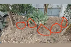 已迁走，交房两年的小区中庭竟有5座坟图片
