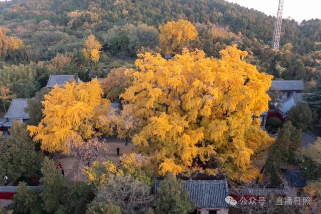 大胆预测！这个周末，日照这里将要爆满！