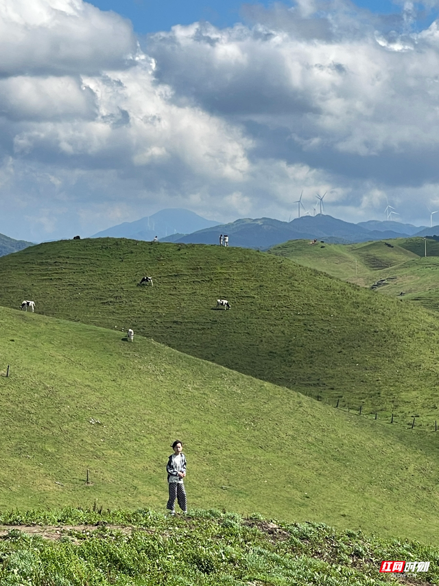 大美红图｜国庆邂逅“南方呼伦贝尔”，城步南山牧场迎旅游热潮
