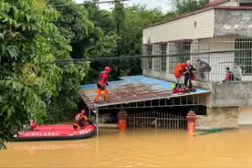 壹基金发布2024年度报告，公益项目惠及937万人次图片