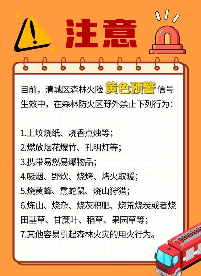 清城芦苇荡：隐藏在城市边缘的秋日童话