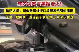 一条数据线能捅出多大的篓子？浙江平湖车主懵了：几十万的车差点烧没图片