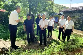 区领导赴官庄镇调研图片