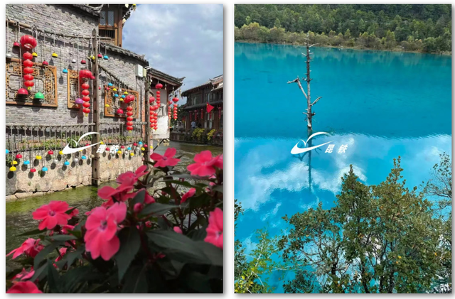 乘坐环线旅游列车，可以打卡云南这些美景和美食