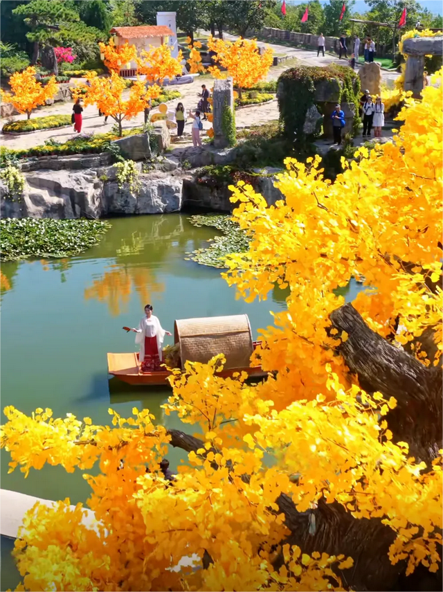 邂逅沂水金秋，一日看尽银杏黄！