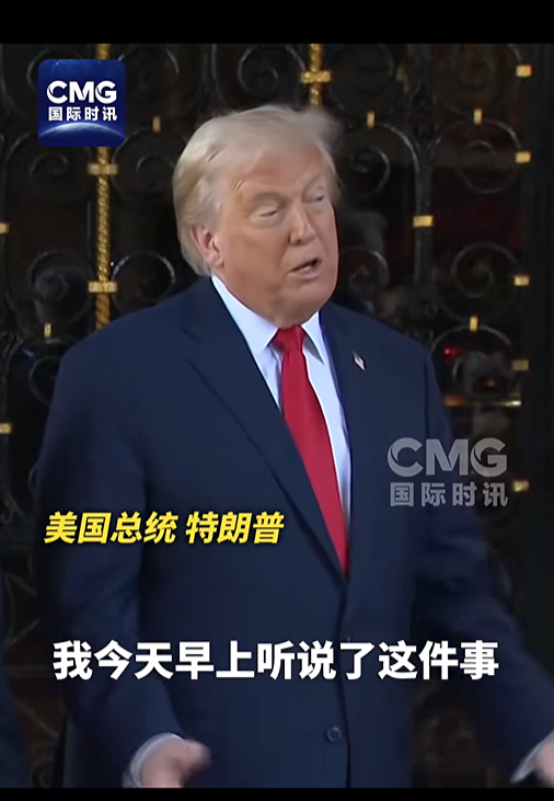 俄称乌动用91架无人机袭击普京官邸，特朗普称“我很生气”，泽连斯基否认袭击说法