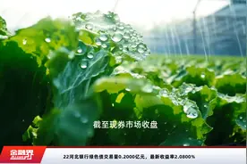 22河北银行绿色债交易量0.2000亿元，最新收益率2.0800%视频封面