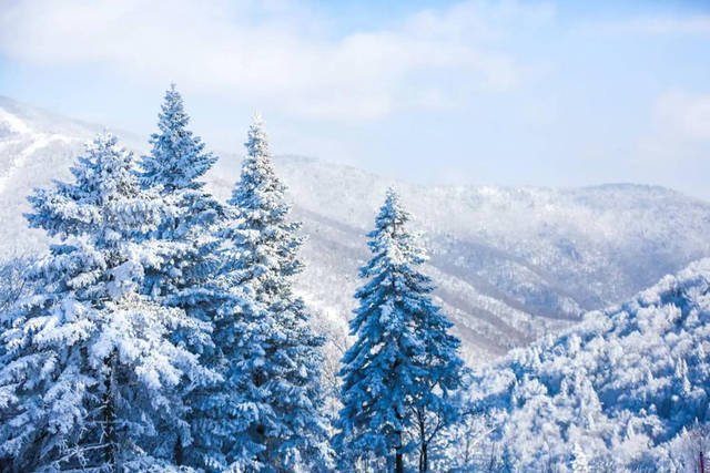 游记丨刘国瑛：大江南北游历手记