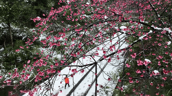 冬至丨解锁桂林的多彩冬天！