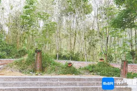 海南周刊丨屯昌：文脉传承焕新韵图片