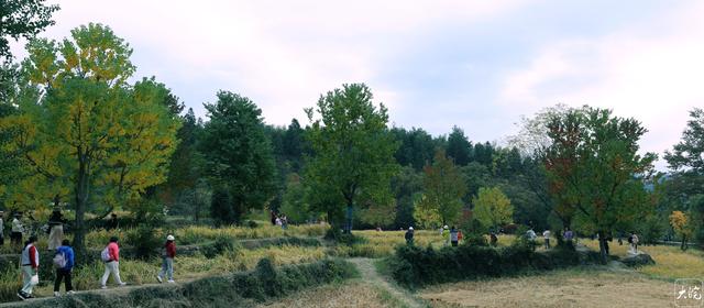 安徽黟县：斑斓塔川惹人醉