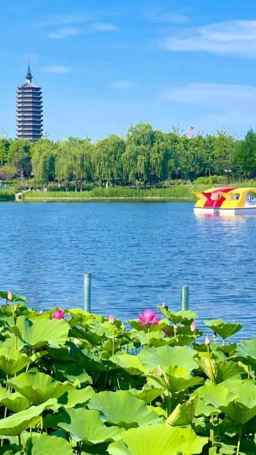惊喜连连！北京夏天玩法上新！（1）