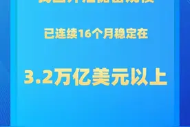 新华社权威快报丨我国外汇储备规模连续16个月稳定在3.2万亿美元以上图片