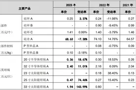 Ferrotec旗下盾源聚芯冲刺深交所主板IPO：涉控股股东等关联交易惹关注，境外收入占比超四成图片