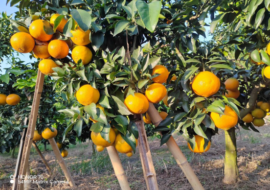 永川“留娃”去处上新→