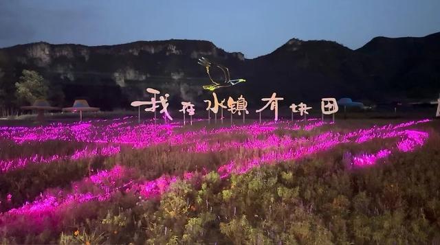 影像 | 太行风骨 易水华章——第九届河北省旅游产业发展大会保定分会场活动掠影