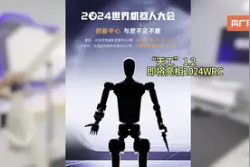 多款人形机器人将亮相2024WRC  业界热议如何让机器人更像人图片