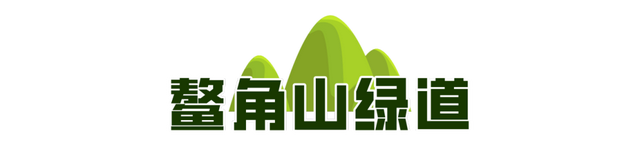 一城山色·泉城绿道 | 历下区山林绿道串起市民美好生活
