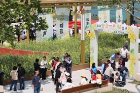 朝阳安贞街道油菜花市集开市 安贞辖区变身无界公园图片