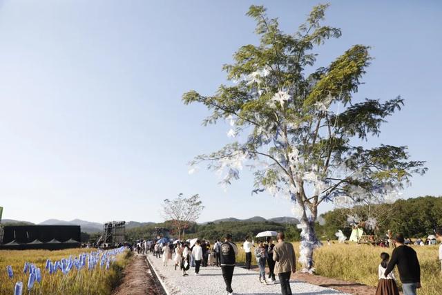 11月29日开幕！轻松get白沙“啦奥门”，戳进来看9大活动↘