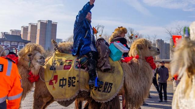踏破风沙赴神都，白云山赠“终身旅游卡”！让天山来客常回“家”看看