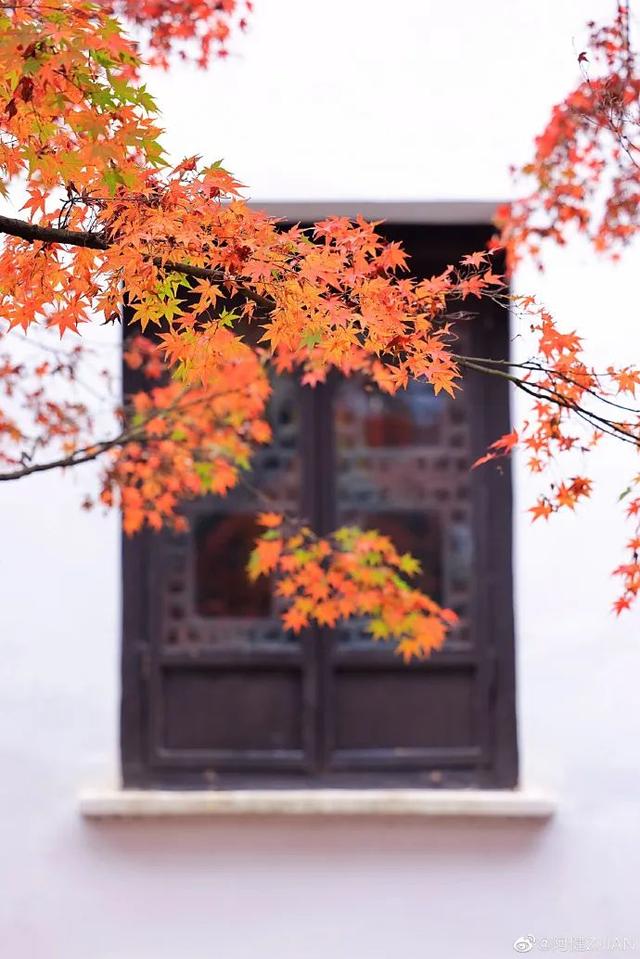 再 致 盐 城