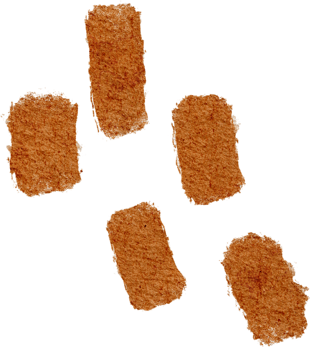 赶紧拍照去！龙泉驿出片指南来了→