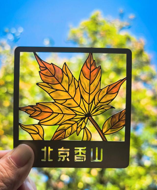 香山不止有红叶！香山公园推荐“慢游览”黄金路线