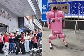 DeepSeek攻占华强北图片