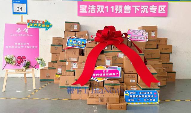 双11首单分钟达！菜鸟联合宝洁多城启动夜派即付即达
