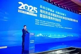 2025境内外资本赋能青岛实体经济高质量发展大会暨国际债券市场会议举办图片