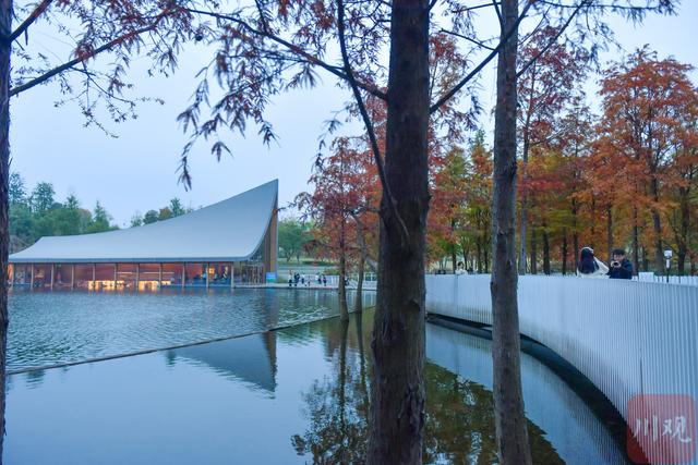 C视觉丨初冬兴隆湖 邂逅油画森林