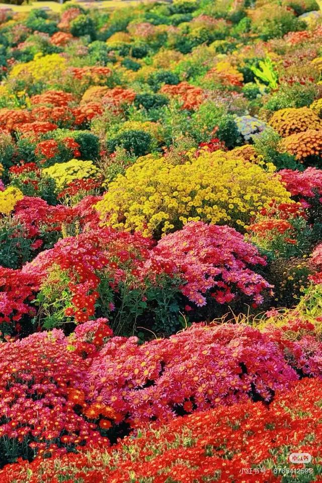 航旅融合 | 抽免费机票，来三明欣赏不一样的初冬景色！