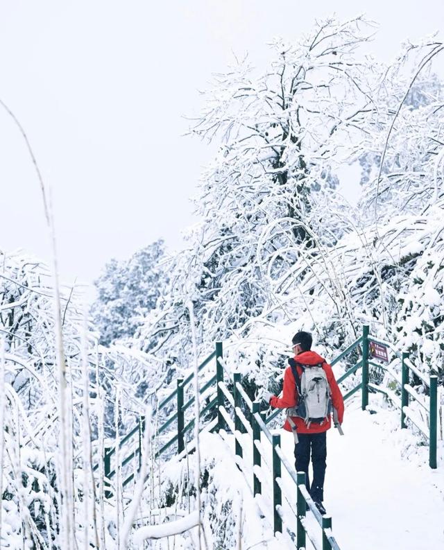 等雪来！瓦屋山绝望坡雪后挑战 UP + 趣味 UP，徒步党速冲！