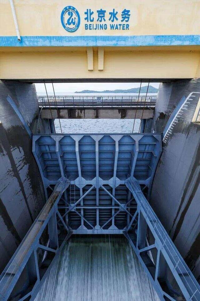 密云水库开闸泄流，大量鲢鱼、鳙鱼随水流奔涌而出，跃出水面