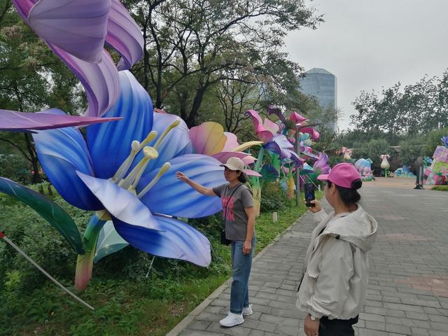天气渐凉、热情依旧！游客打卡京城公园热度不减