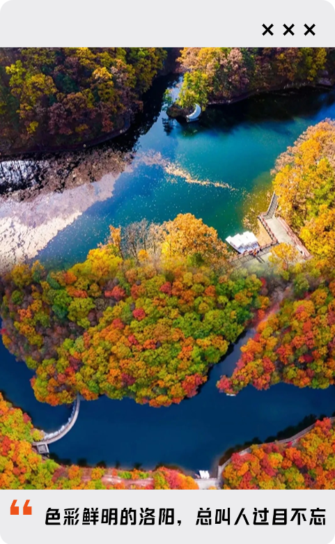 初冬高饱和度美景，还得看洛阳！