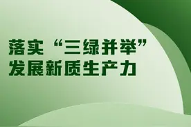 落实“三绿并举”  发展新质生产力图片