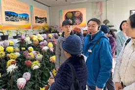 中山公园菊花展亮相唐花坞，公园推出银杏流沙冰箱贴图片