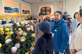 中山公园菊花展亮相唐花坞，公园推出银杏流沙冰箱贴图片