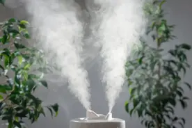 天气干燥，使用加湿器要注意这3点！图片