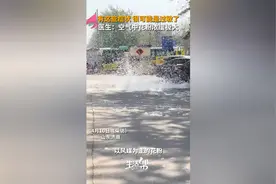 有这些症状很可能是过敏了 医生：空气中花粉浓度极大图片